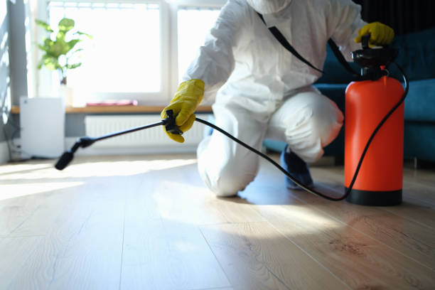 Reliable Odor Removal contractor in Pioneertown, CA by Dulley Family Biohazard Services
